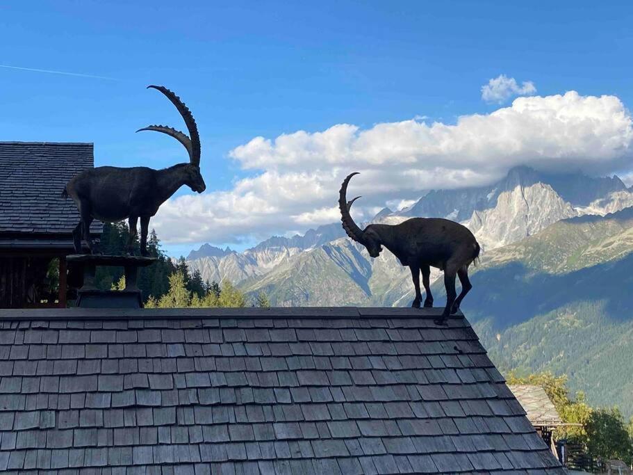 Praz Sur Arly - Proche Des Pistes Et De Megeve Appartement Buitenkant foto