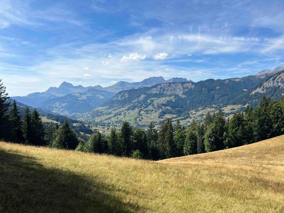 Praz Sur Arly - Proche Des Pistes Et De Megeve Appartement Buitenkant foto