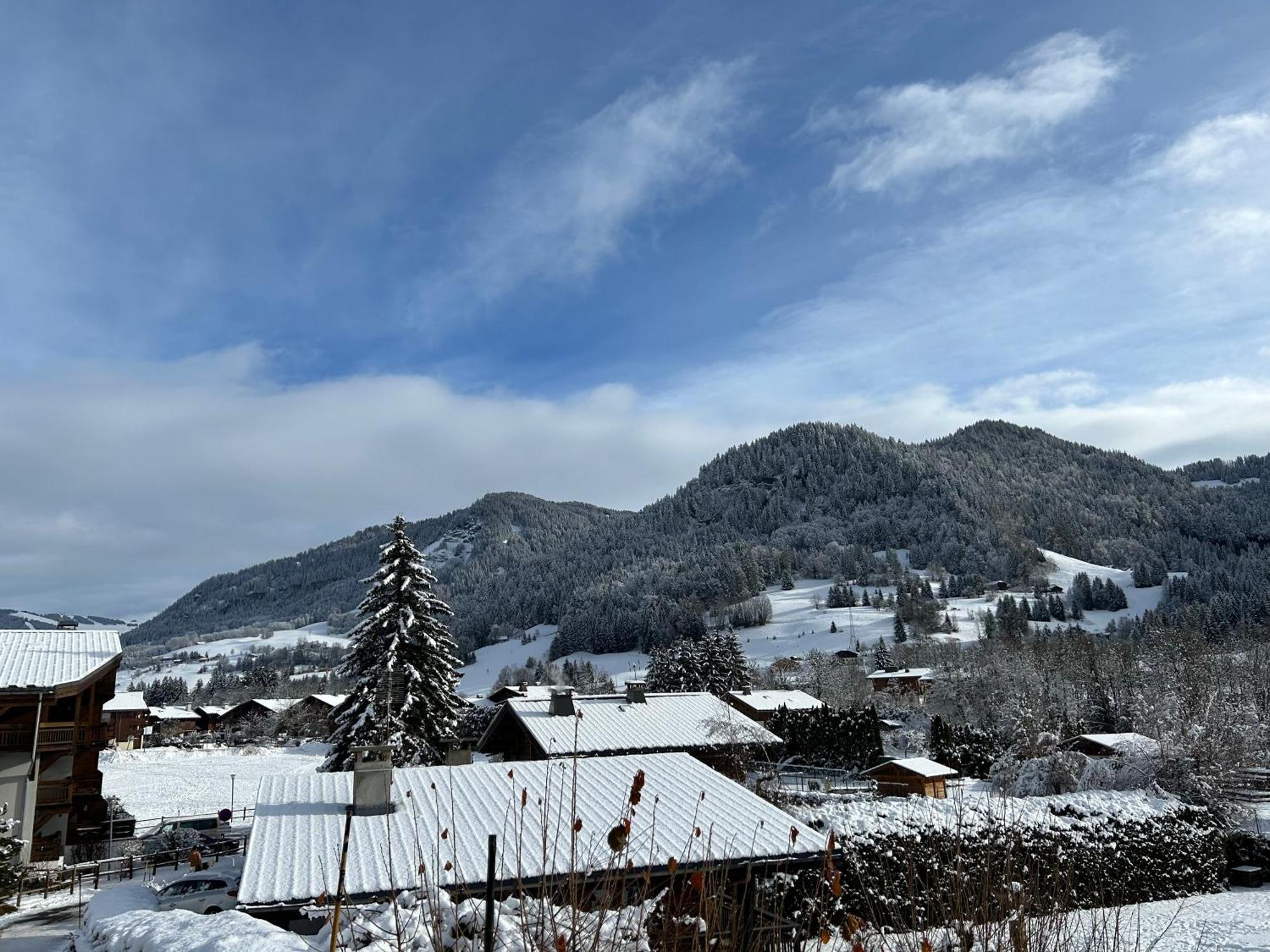 Praz Sur Arly - Proche Des Pistes Et De Megeve Appartement Buitenkant foto